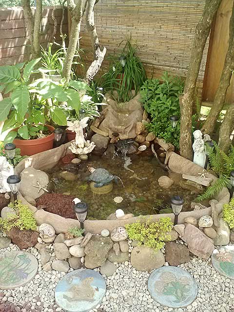 The completed pond
