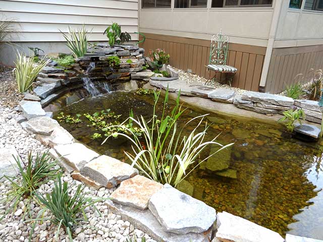The completed pond