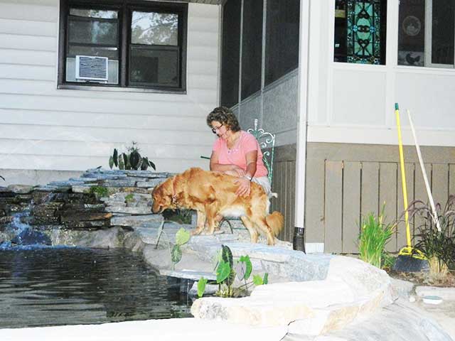 Enjoying the pond