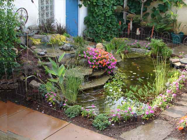 Finished water garden with pond plants