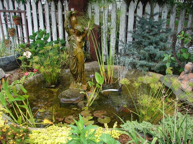 Small pond with fountain