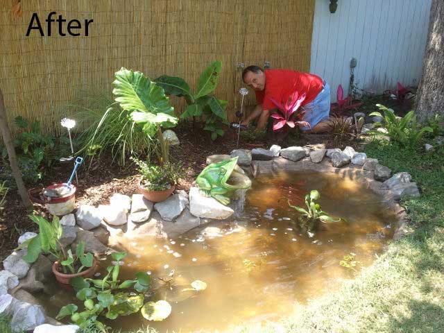 After - pond liner hidden